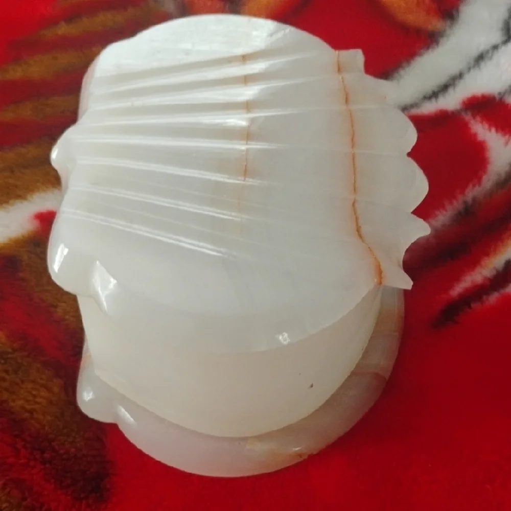 White Shell Design Bath Storage Box - Picture 7 of 9